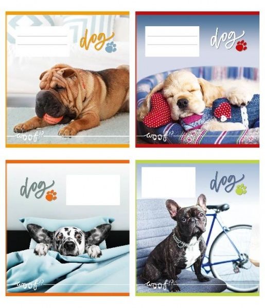 Комплект тетрадей 24 листа в клетку Отдых Полиграфист