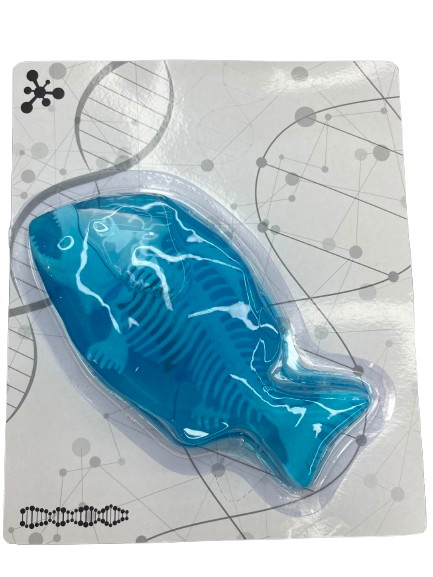 Набор исследователя Maya Toys Анатомия животных Пиранья 802B