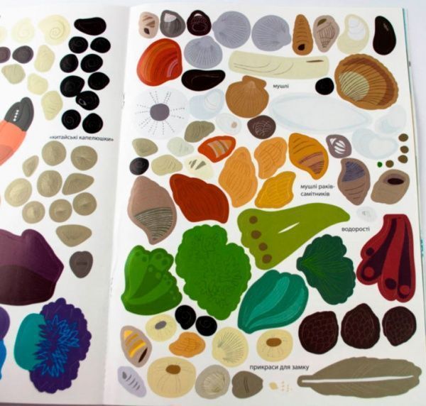 Книга «Моя книга природы: На берегу моря» 978-617-09-4102-2