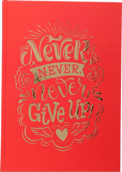 Книга учета Престиж А4 96 листов в ассортименте Аркуш