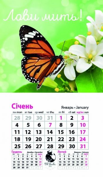 Календарь «Магнит (20 видов) на 2021 год» 9786177308224