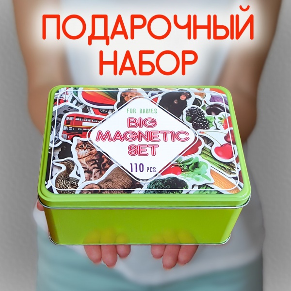 Набір магнітів Magdum Большой подарок ML4031-63 EN