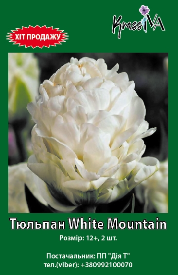 Луковица KrassIVA тюльпан White Mountain 2 шт. 