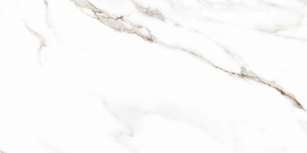 Плитка Allore Group Mira White F P R Satin 60x120 см 