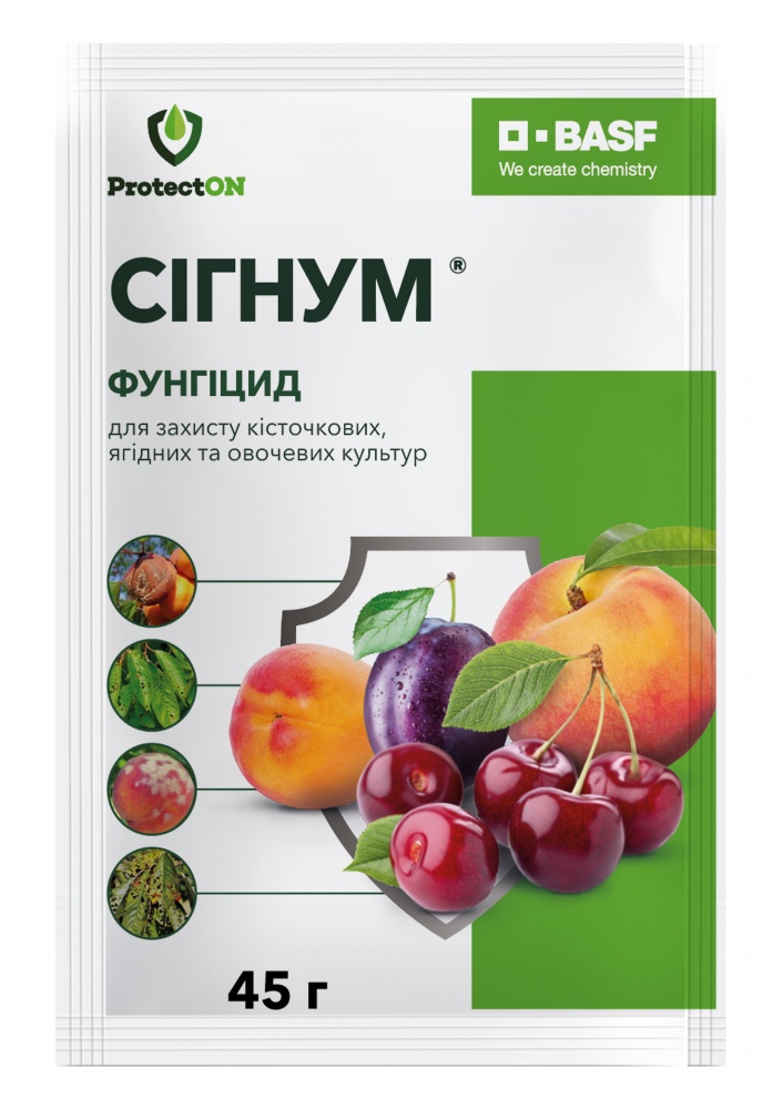 Фунгіцид ProtectON Сігнум в.г. (45 гр) — фото 1
