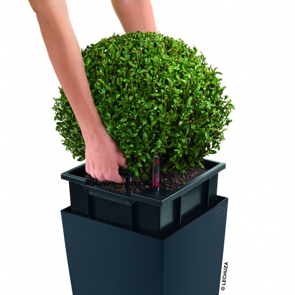 Вазон пластиковый Lechuza Cubico 30 18182 квадратный 50,1л коричневый 