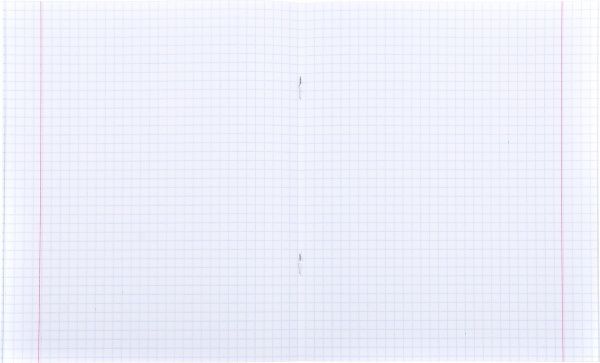 Комплект зошитів 24 аркуша в клітинку #ШКОЛА