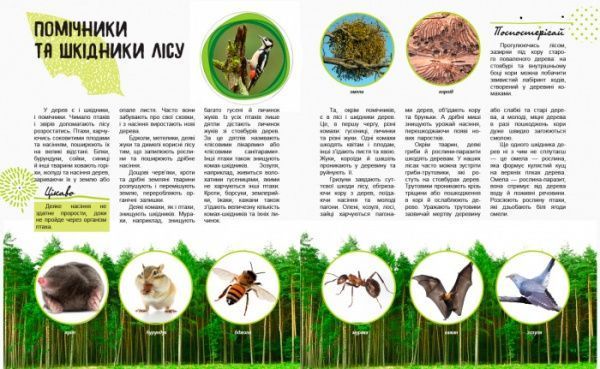 Книга «Світ і його таємниці: Життя лісу» 978-617-09-4439-9