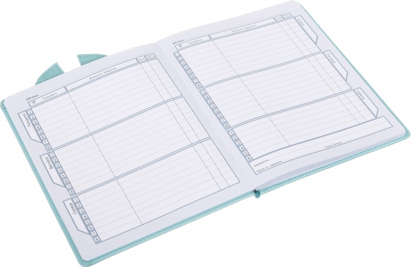 Дневник SD1587 167х211 мм 48 листов Bourgeois