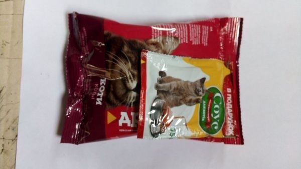 Корм Для друга с говядиной 100 г + соус