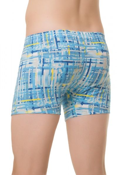 Труси-шорти чоловічі KOSTA 0065-5 XXL блакитний