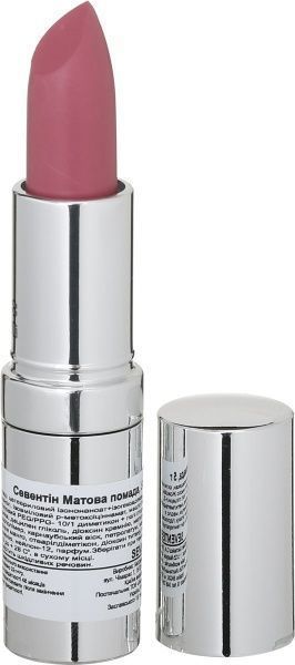 Помада губная Seventeen Matte Lasting Lipstick №48 5 г