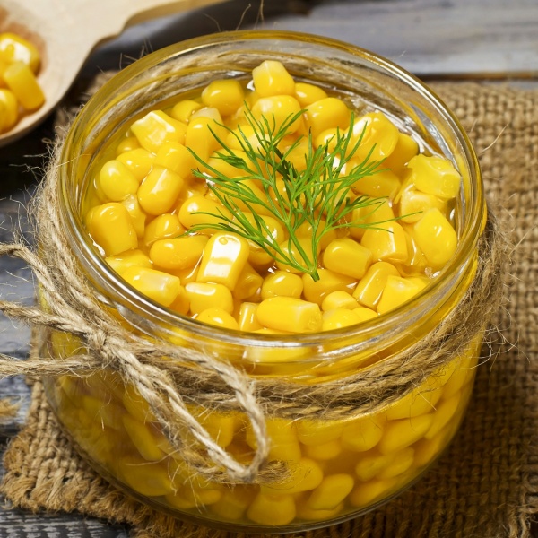 Семена Професійне насіння кукуруза Тести Свит F1 для консервирования 15 шт. (4820176692719)