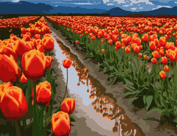 Картина за номерами Поля в Голландії 10524-AC 40х50 см ArtCraft 