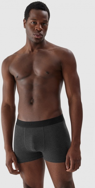 Труси 4F BOXER SHORTS M027 (2PACK) 4FAW23UBXSM027-90M р.L сірий