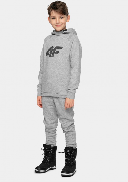 Брюки 4F HJZ21-JSPMD001A-27M р. 134 серый