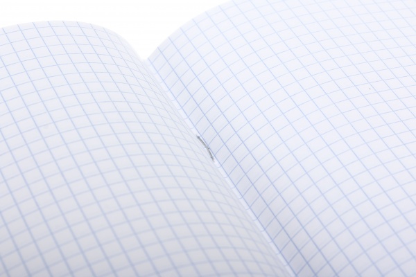 Тетрадь школьная с глитером 18 листов в клеточку в ассортименте Мечты сбываются