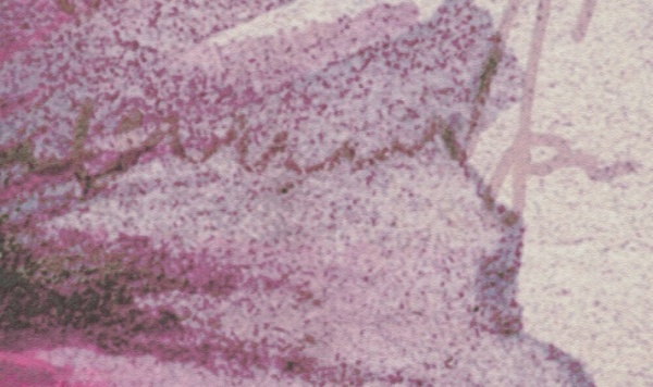 Шпалери A.S. Creation The Wall 371 см x 280 см 38276-1 0,53x20,1 м 