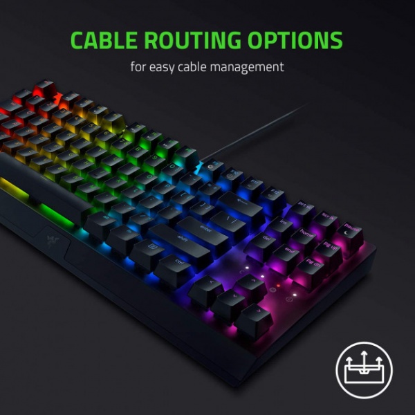 Клавіатура Razer BlackWidow V3 TKL (RZ03-03490700-R3R1) black 