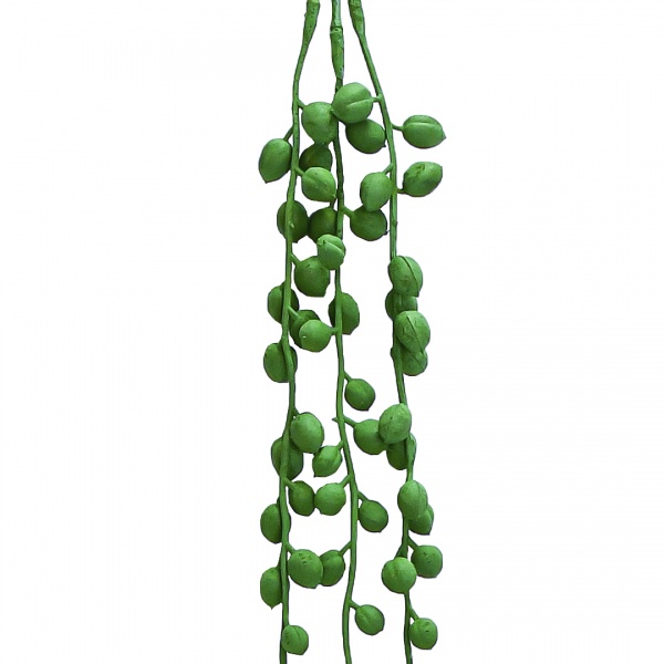 Гілочка декоративна Хрестовник 72 cм TW-34 Engard