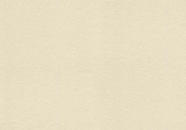 Обои виниловые на флизелиновой основе Vinil Аделина СШТ 3-1213 1,06x10,05 м 