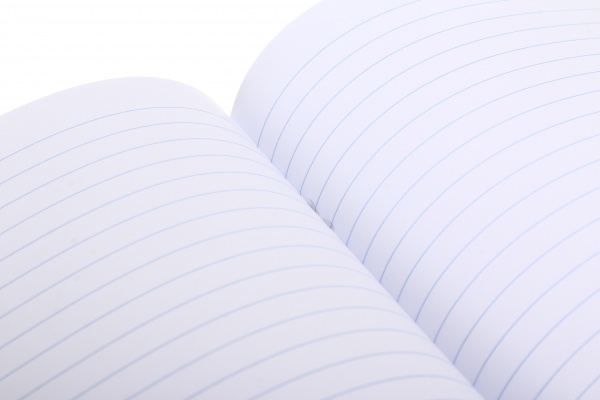 Тетрадь школьная Американская мечта 60 листов в линию Поділля