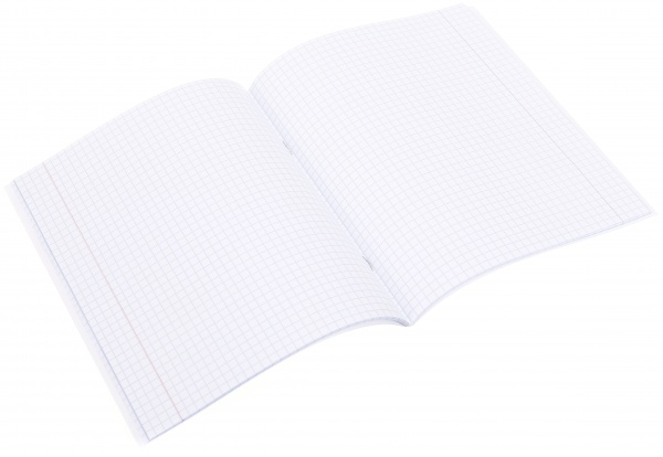 Зошит 48 аркушів клітинка 2023_2 Nota Bene