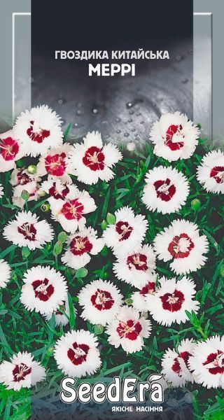 Семена Seedera гвоздика китайская Мэрри 0,2 г