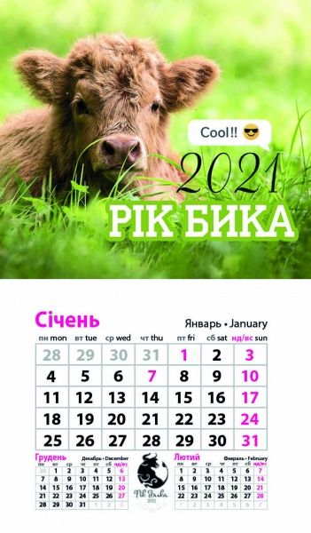 Календар «Магніт (20 видів) на 2021 год» 9786177308224