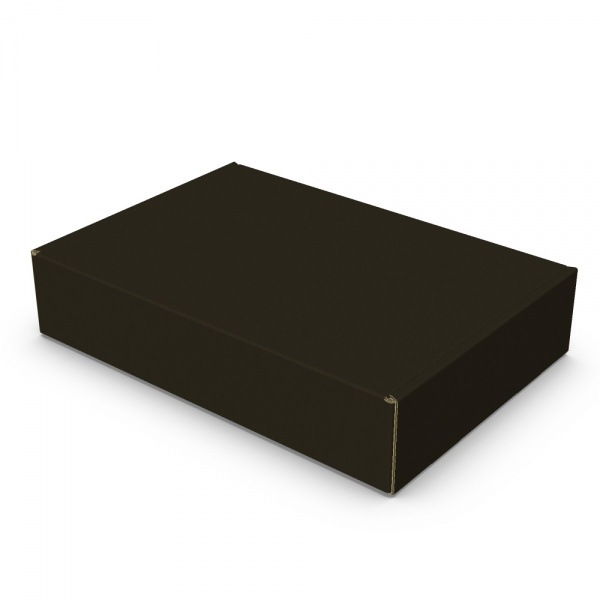 Картонна коробка (Е) чорна 236x168x50 мм
