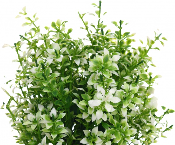 Растение искусственное каланхое в керамическом горшке белый