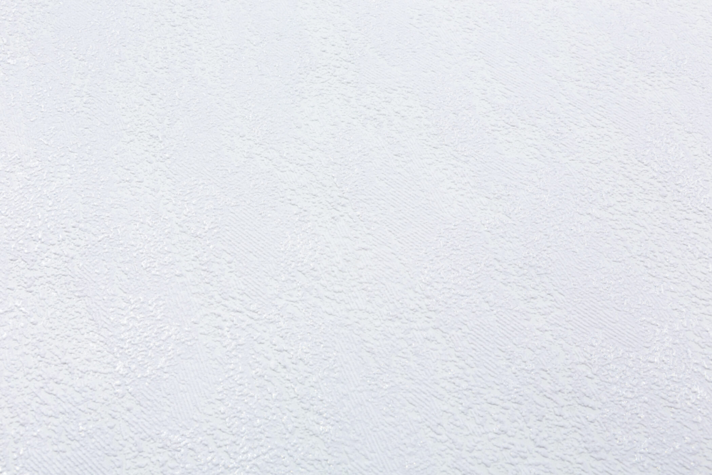 Шпалери зі спіненого вінілу Vinil Rains ДХС-1588/1 1,06x10,05 м