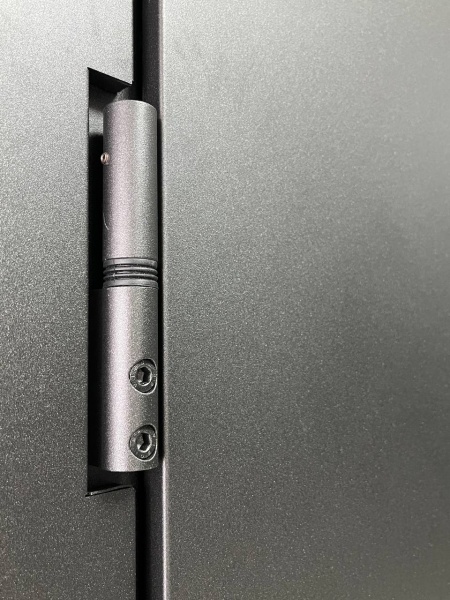 Дверь входная Tarimus Райдо антрацит / венге горизонт темный 2050x960 мм правая