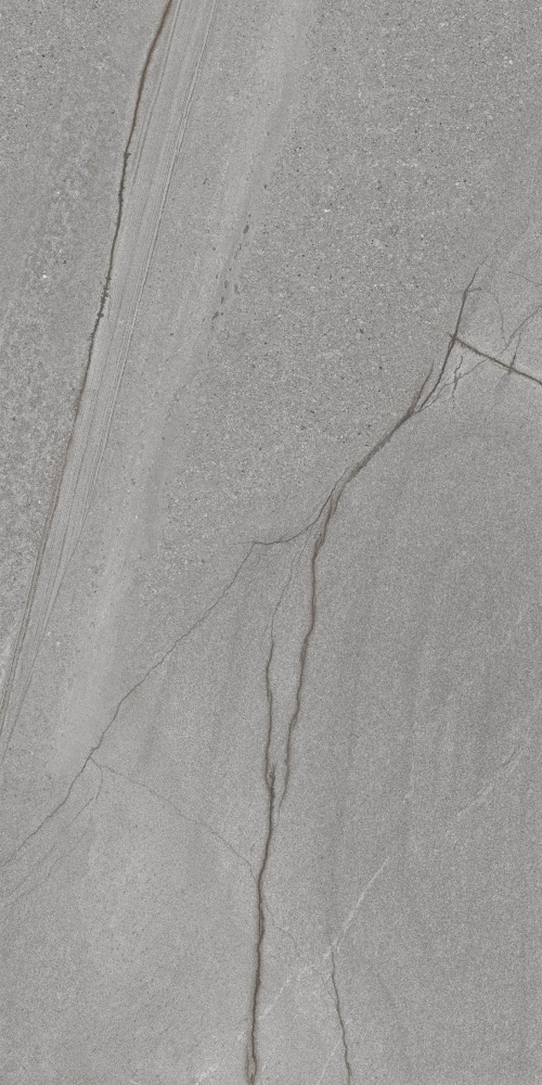 Плитка Allore Group Silva Grey F P Sumat 60х120 см