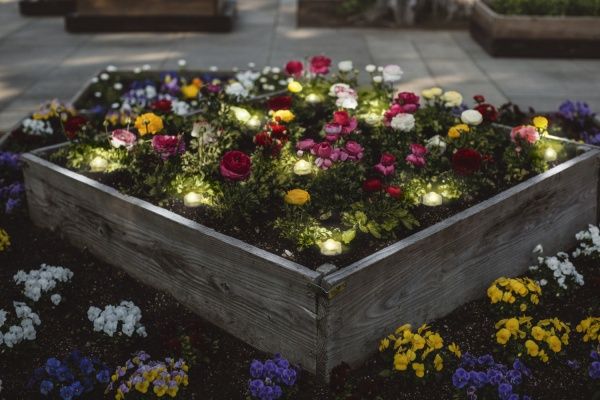 Світильник садовий Ledvance Endura Garden Dot 6 Вт IP65 прозорий 