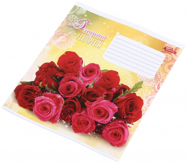 Зошит шкільний 24 аркуша у клітинку в асортименті Мрії збуваються