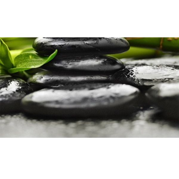 Плитка Golden Tile RELAX зелений декор №4 494341 25x40