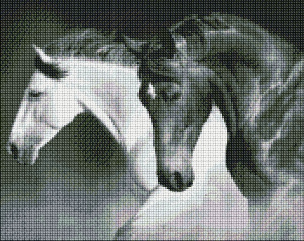 Алмазная мозаика Черно-белая сила 40х50см Идейка 