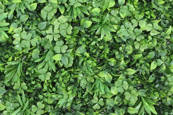 Декоративное модульное покрытие Engard Фитостена 100x100 см GCK-09