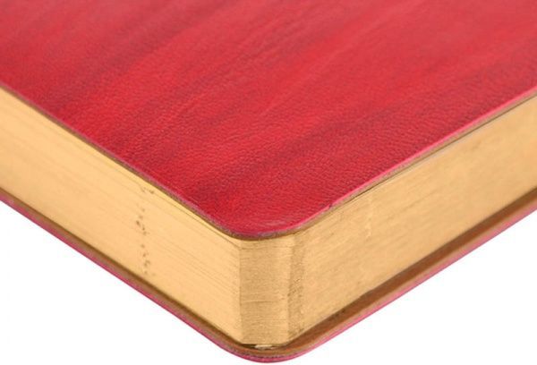 Щоденник Eterno А5 бордовий 251962 Leo Planner