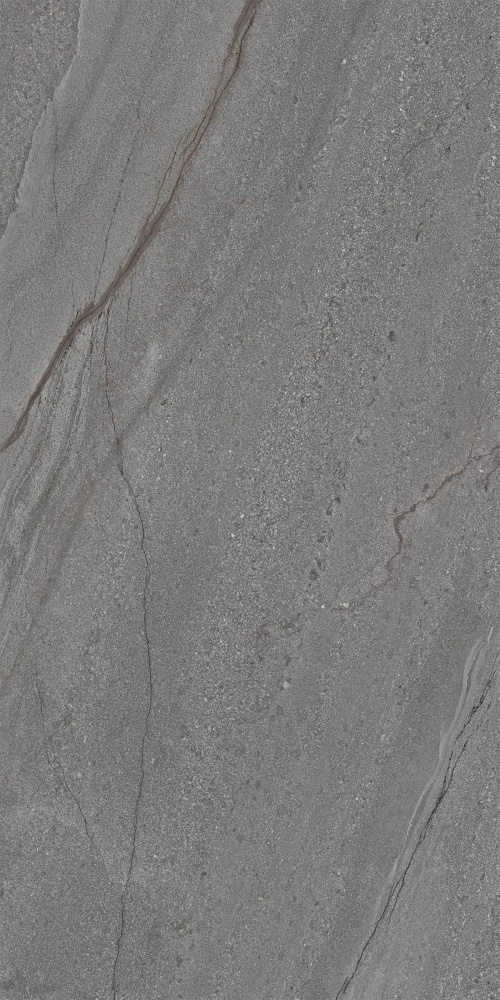 Плитка Allore Group Silva Graphite F PC R Sumat 60х120 см