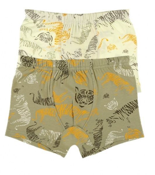 Труси для хлопчика DONI 75795 р.122-128 в асортименті 