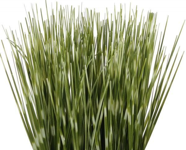 Растение искусственное Мискант в металлическом горшке 10х20 см зеленый с белым