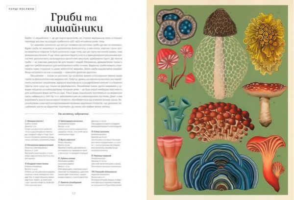 Книга Кесі Вілліс «Ботанікум» 978-617-679-632-9