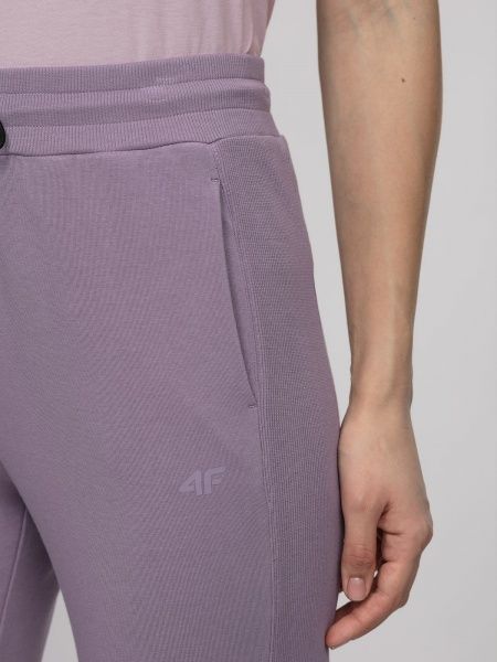 Брюки 4F D4L21-SPDD212-51M р. XS фиолетовый
