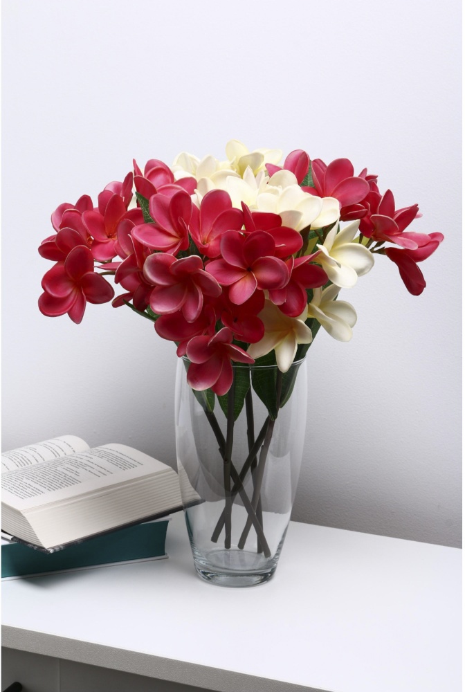 Ваза стеклянная Pako-If прозрачна d 140 мм 25 см