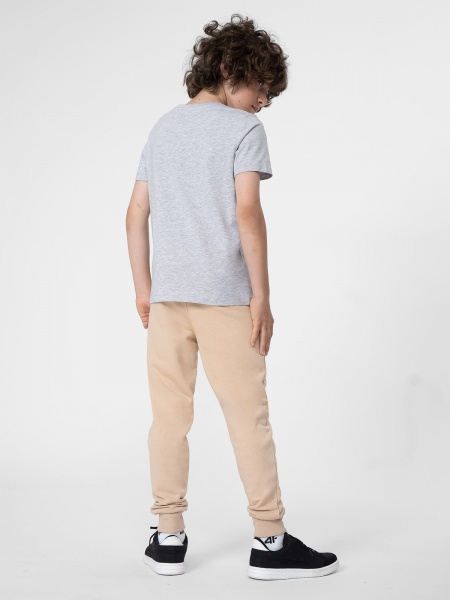 Брюки 4F TROUSERS CAS M131 4FJSS23TTROM131-83S р. 164 бежевый