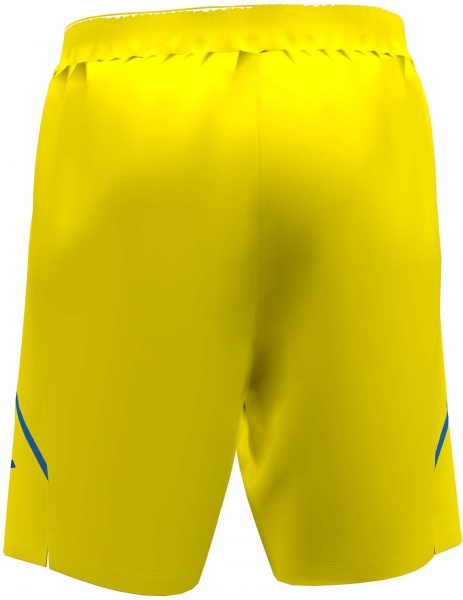 Шорти Joma FED. FUTBOL UCRANIA AT102024A907 р. M жовтий