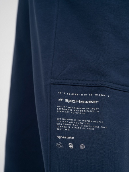 Штани 4F 4FSS23TTROM138-31S р. XL синій