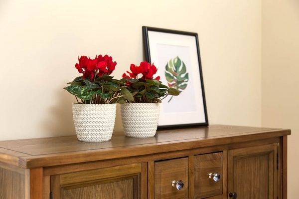 Горшок Lamela Магнолия Джерси 220 круглый 4л кремовый 